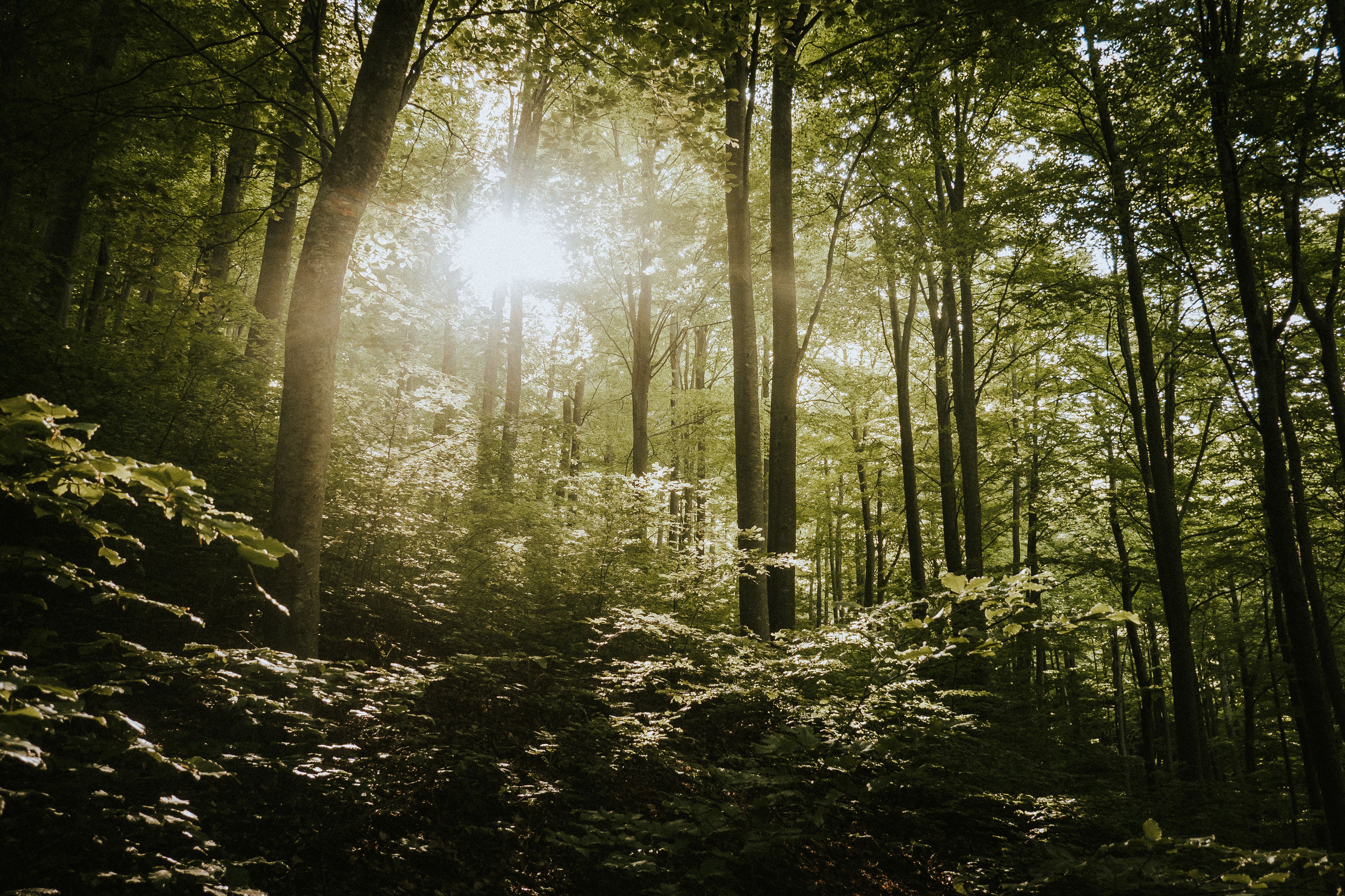 Tranquil wellness setting
